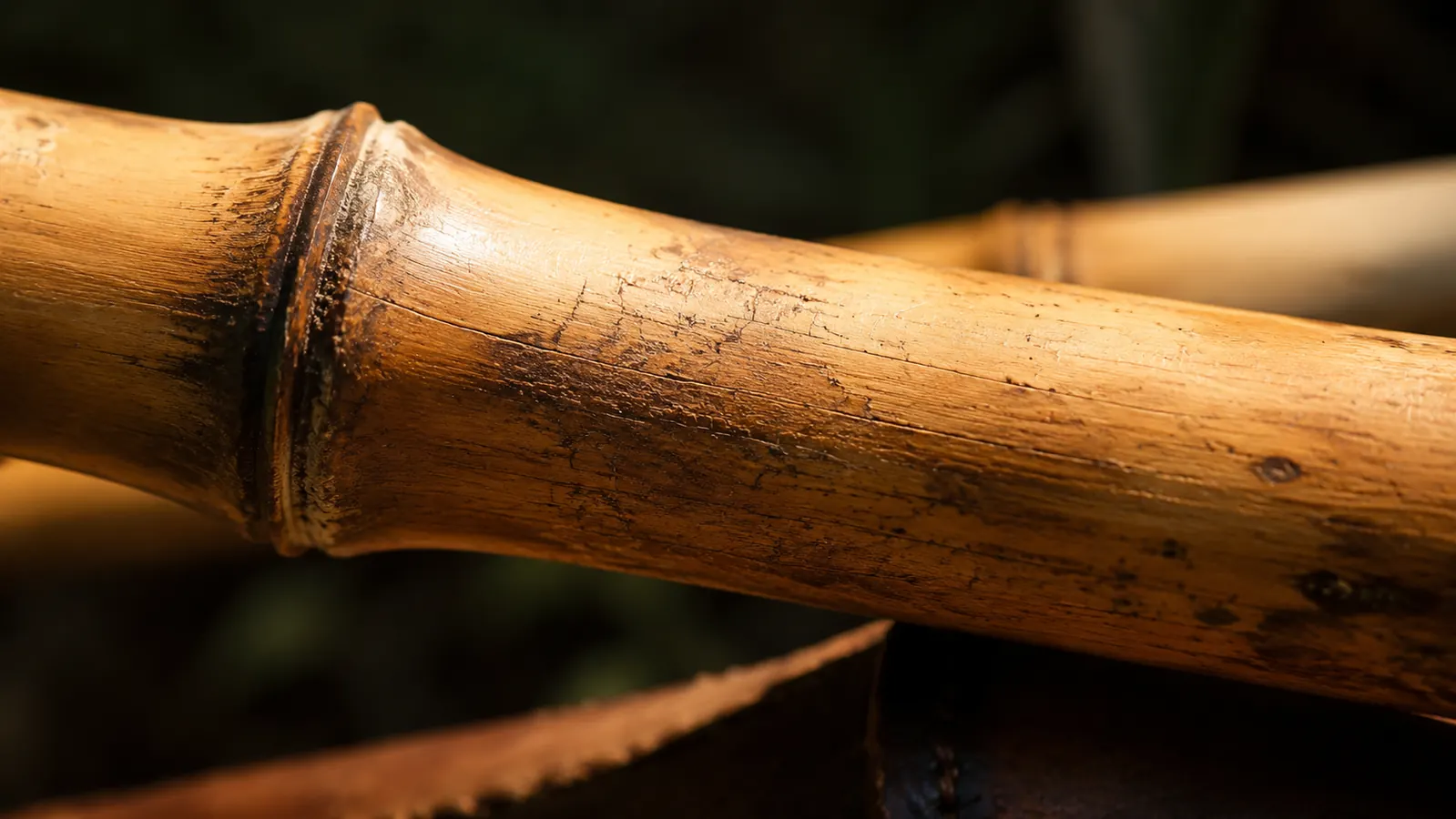 Weathered bamboo handle of a garden tool showing surface checks and grain texture after extended outdoor use