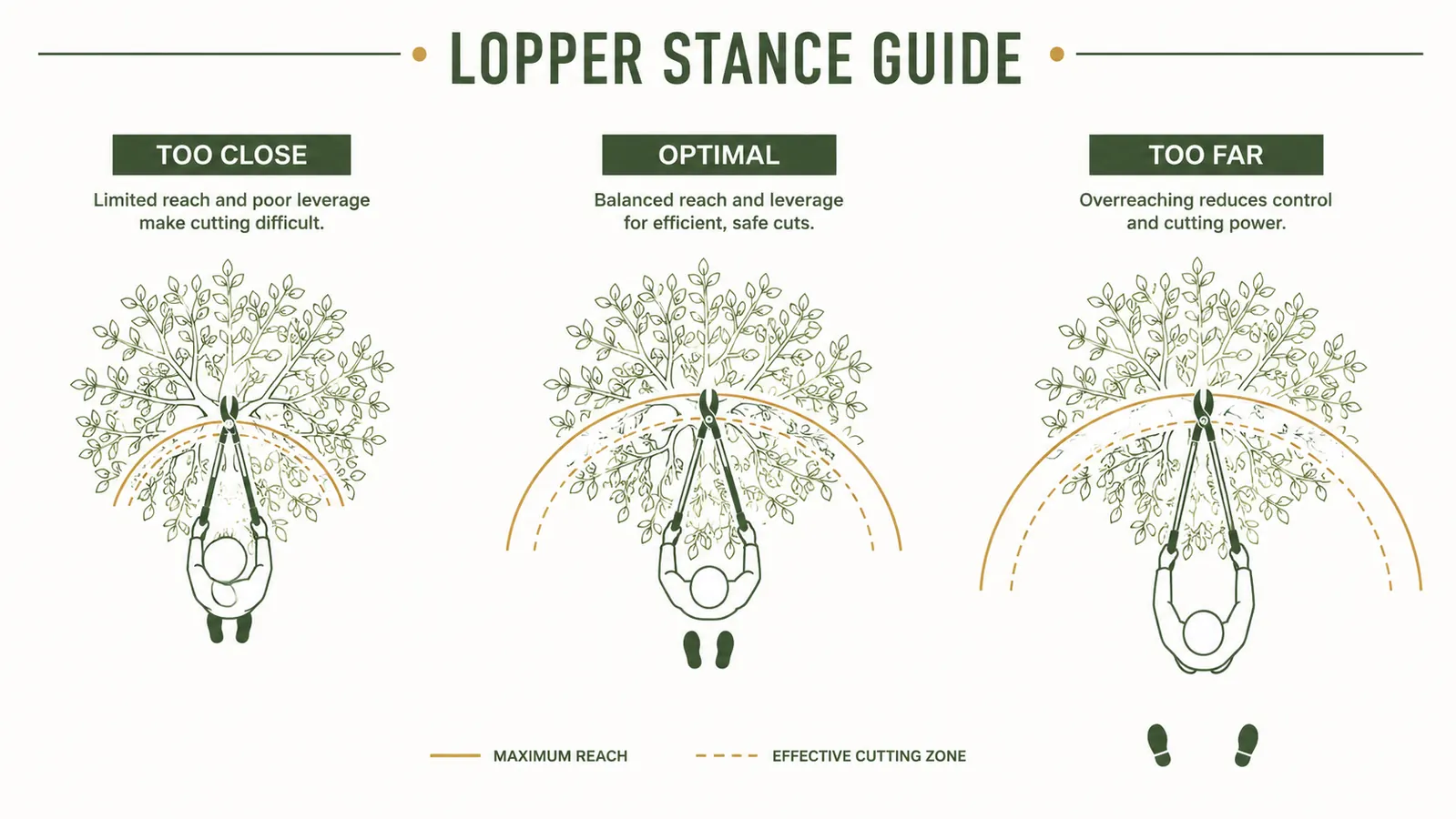 Diagram showing three foot positions relative to branch reach: too close, too far, and optimal stance with body centered