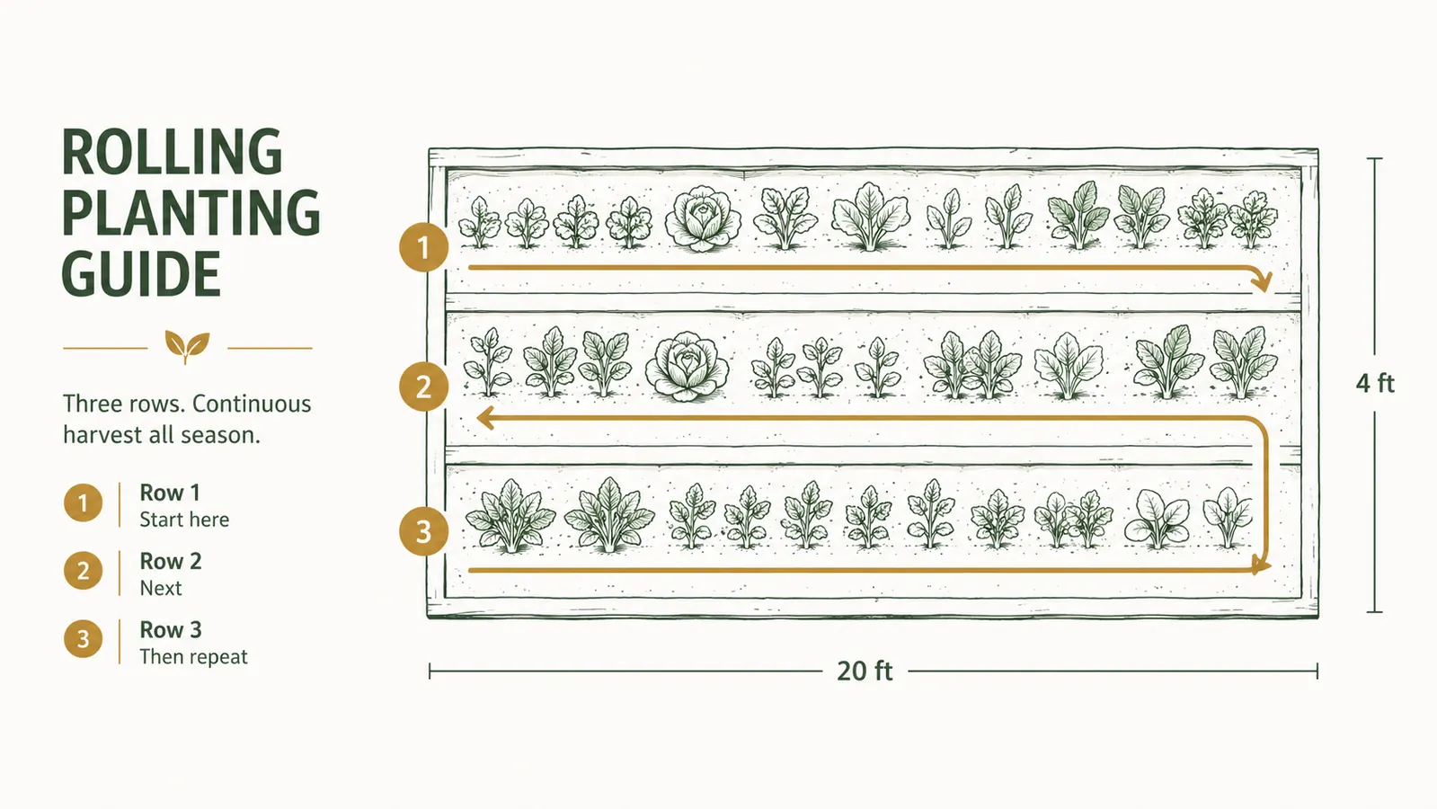 Diagram showing the row-by-row rolling path across a 20-foot garden bed, with numbered passes indicated