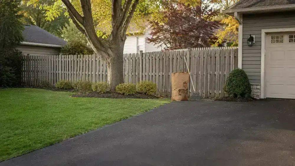 A clean, bare concrete driveway and lawn after leaf blowing, a tidy yard ready for winter