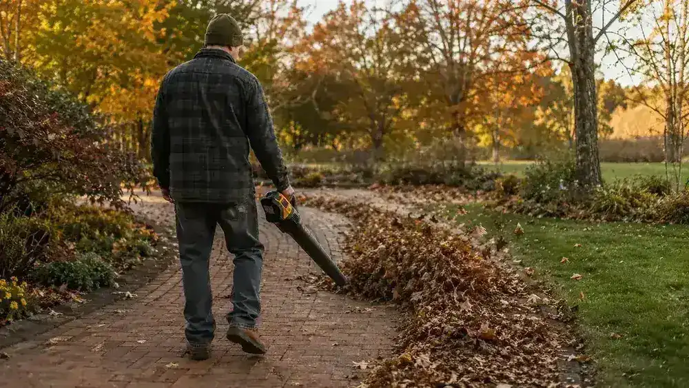 Person blowing dry leaves from a paved pathway next to a garden bed on a clear fall day