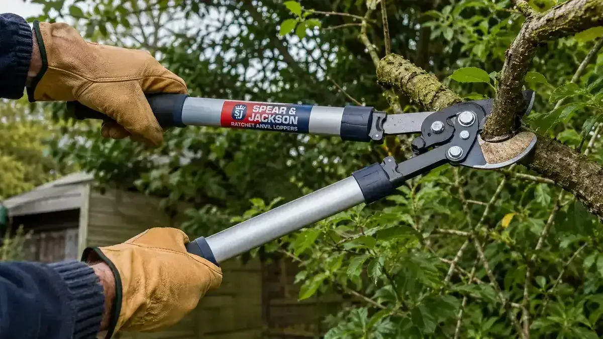 Close-up of gloved hands gripping the telescopic handles of the Spear & Jackson loppers, mid-cut on a thick woody branch