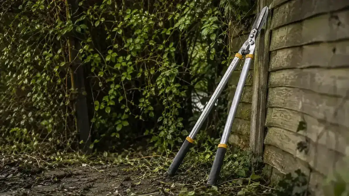 Spear & Jackson 8290RS Loppers: What Nobody Else Will Tell You