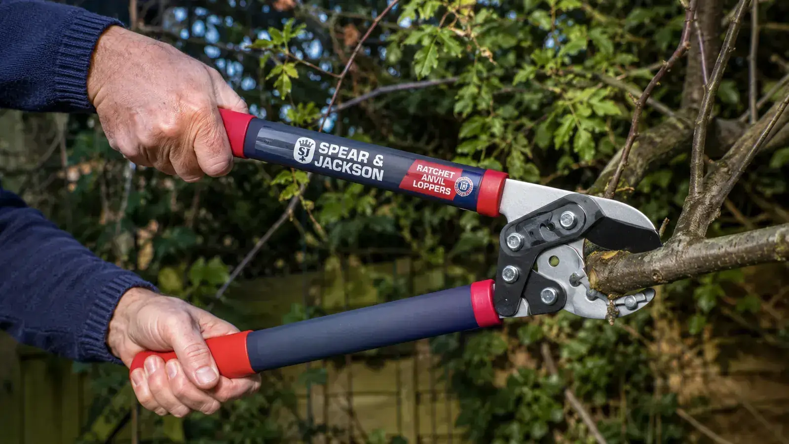 Hands using the Spear & Jackson ratchet loppers to cut a thick crape myrtle branch